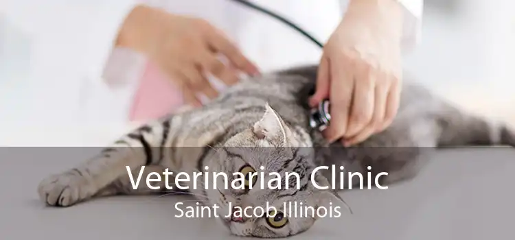 Veterinarian Clinic Saint Jacob Illinois