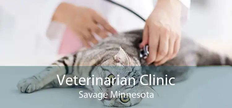 Veterinarian Clinic Savage Minnesota
