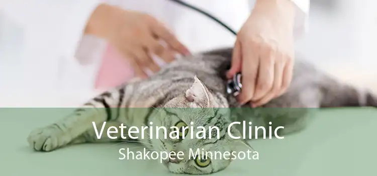 Veterinarian Clinic Shakopee Minnesota