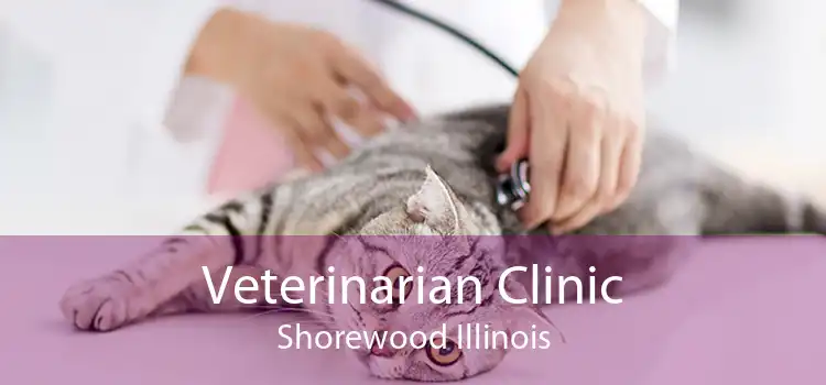 Veterinarian Clinic Shorewood Illinois