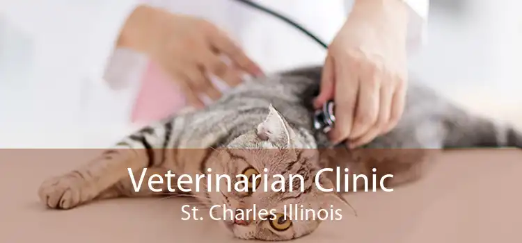 Veterinarian Clinic St. Charles Illinois