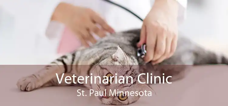 Veterinarian Clinic St. Paul Minnesota