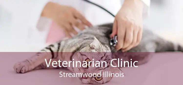 Veterinarian Clinic Streamwood Illinois