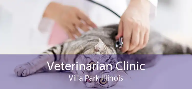 Veterinarian Clinic Villa Park Illinois
