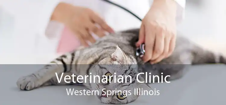 Veterinarian Clinic Western Springs Illinois