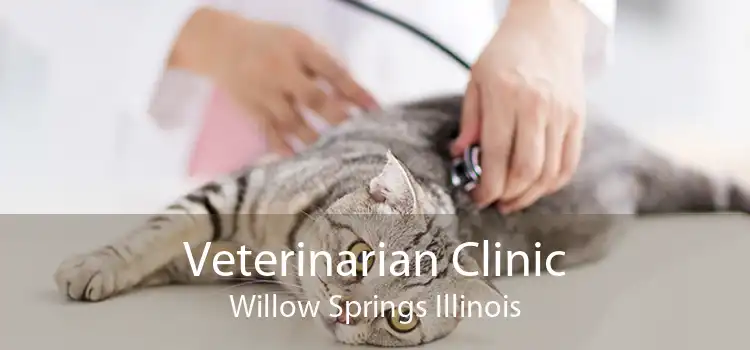 Veterinarian Clinic Willow Springs Illinois