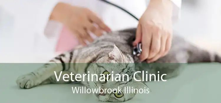 Veterinarian Clinic Willowbrook Illinois