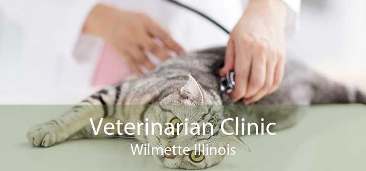 Veterinarian Clinic Wilmette Illinois