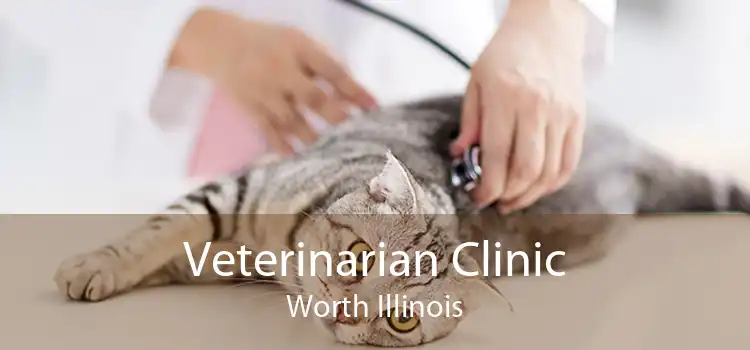 Veterinarian Clinic Worth Illinois