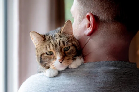 leading animal vets in Woodbury
